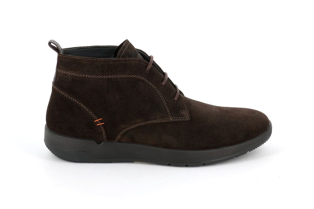 PO1533 MORO